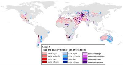 Soil Salinity and Sodicity in Drylands: A Review of Causes, Effects, Monitoring, and Restoration Measures